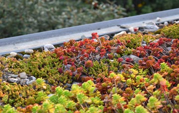 the cost of Bossingham green roof installation