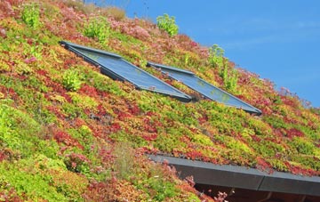 Bossingham living roof systems