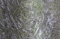 Bossingham fibreglass roof work